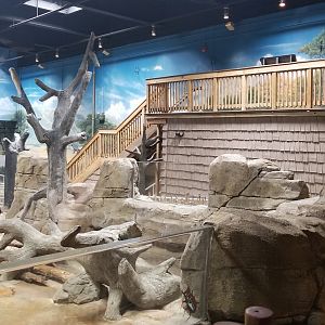Indoor hippo exhibit, upper corner and human viewing area (closed)