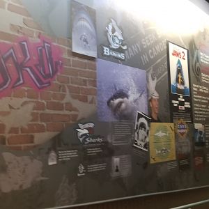 "Graffiti" wall with sharks in media