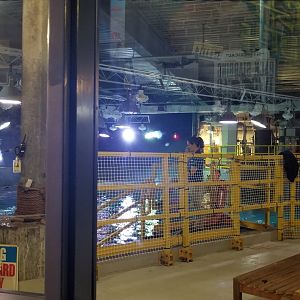 Behind-the-scenes diving platform area