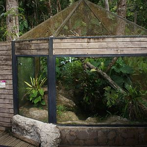 Parc des Mamelles   Guadeloupe