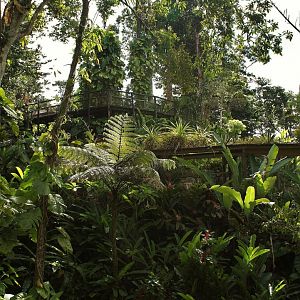 Parc des Mamelles Guadeloupe