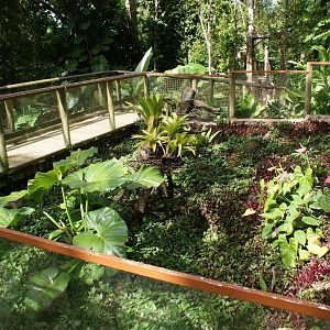 Parc des Mamelles Guadeloupe