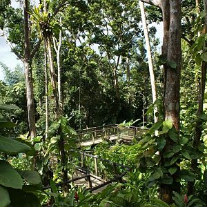 Parc des Mamelles Guadeloupe