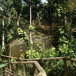 Parc des Mamelles Guadeloupe