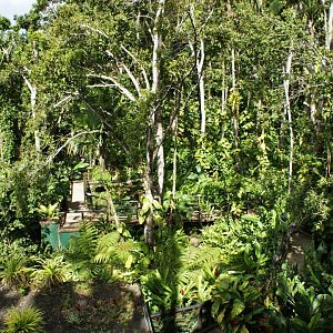 Parc des mamelles    Guadeloupe