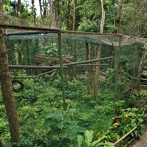 Parc des mamelles    Guadeloupe
