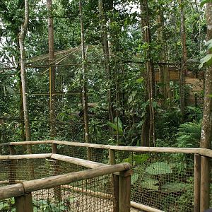 Parc des mamelles    Guadeloupe