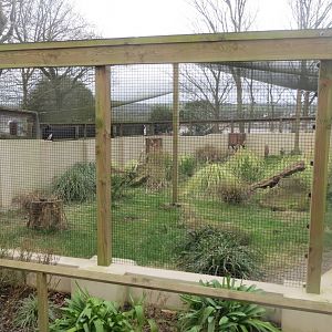 Abyssinian ground hornbill enclosure 190219
