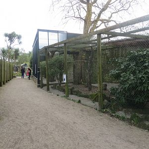 Bird of Prey aviary 190219