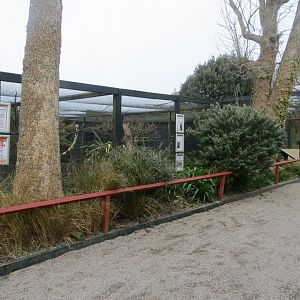 Mixed aviaries 190219