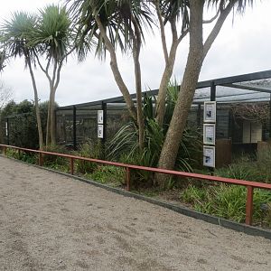 Mixed aviaries 190219