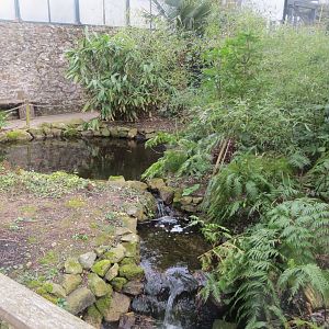 Water feature in Parrot Jungle area 190219