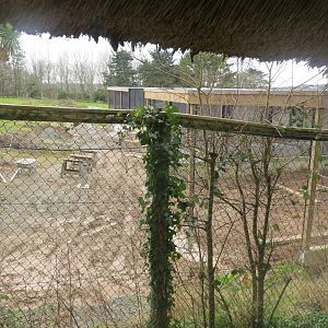 Area of new development - The Tropics 190219