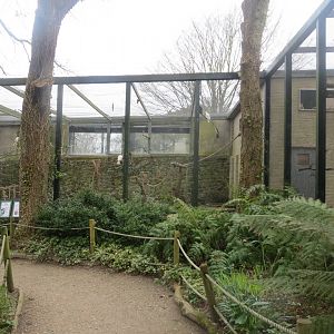 Parrot aviaries 190219