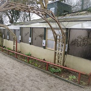 Walled Garden - Parrot aviaries 190219