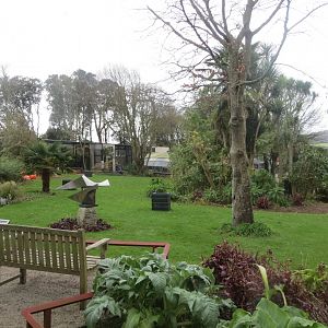 Walled Garden - Caribbean flamingo area 190219
