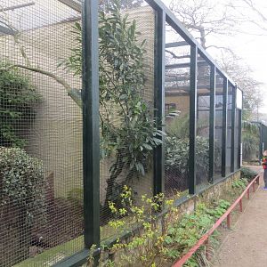 Walled Garden mixed aviaries 190219