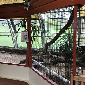 Walled Garden Tropical House aviary 190219