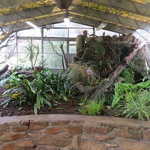 Walled Garden Tropical House - Free flight area 190219