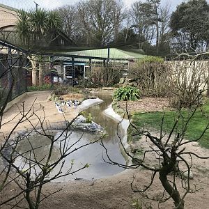 Entrance Aviary 190219