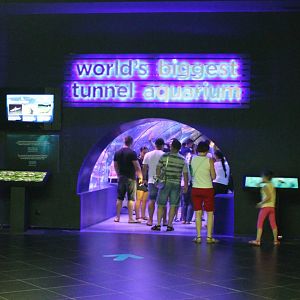 World's biggest tunnel aquarium