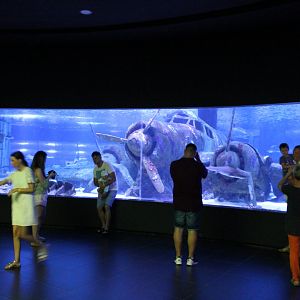 Part tunnel aquarium