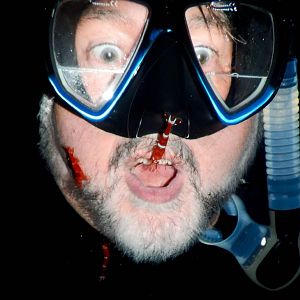 Hix getting exfoliated by a cave-dwelling shrimp species