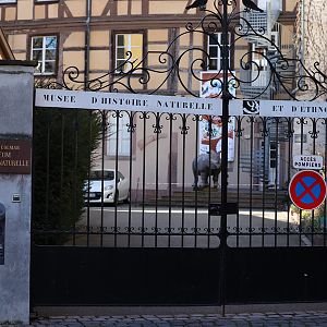 Colmar Natural History Museum