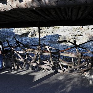snow leopard viewing
