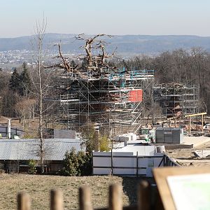 African savanna construction (2020)