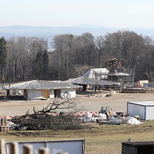 African svanna construction (2020)