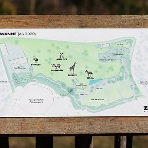 African savanna plans (2020)