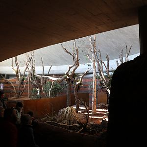 koala indoor exhibit