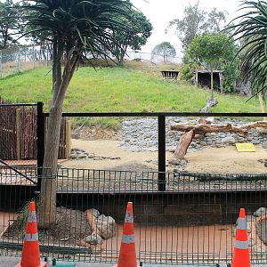 New Capybara exhibit under construction