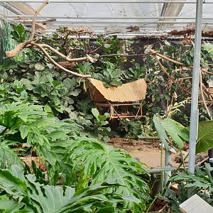 Bird walk-through enclosure