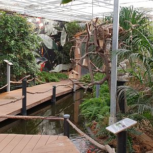 Bird walk-through enclosure