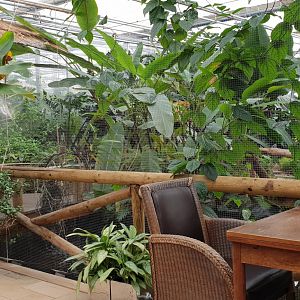 View at the Butterfly-hall from the restaurant