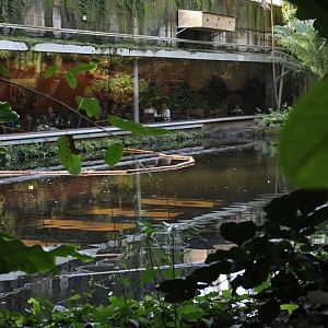 Masaola Restaurant (from outside)