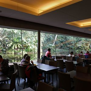 Masaola Restaurant (from inside)