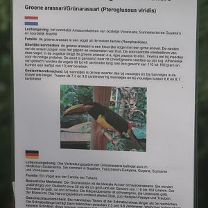 Sign Green aracari