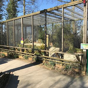 Aviary