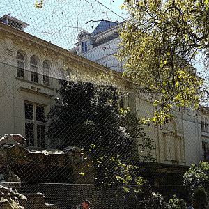 Griffon vulture aviary
