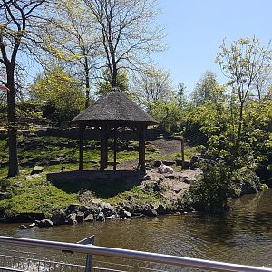 Scimitar-horned oryx enclosure