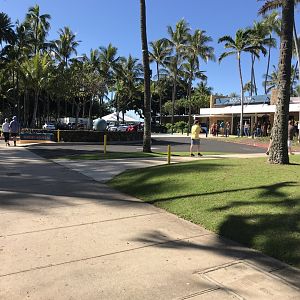 Entrance to the aquarium