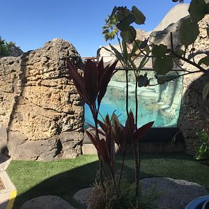 Another view of the monk seal area