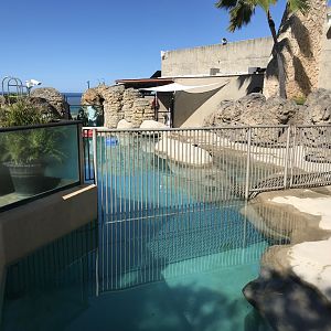 Partition between the two monk seal exhibits