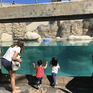 Underwater viewing area