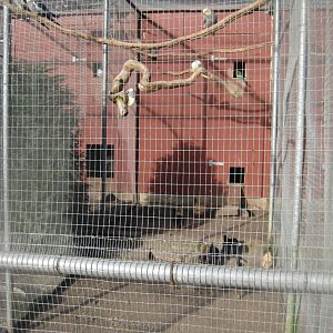 Skive Anlæg - Aviary #3