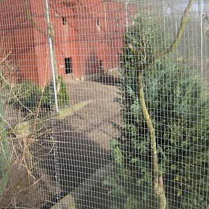 Skive Anlæg - Aviary #4