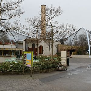 view toward Gelada-enclosure